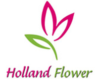 Holland Flower